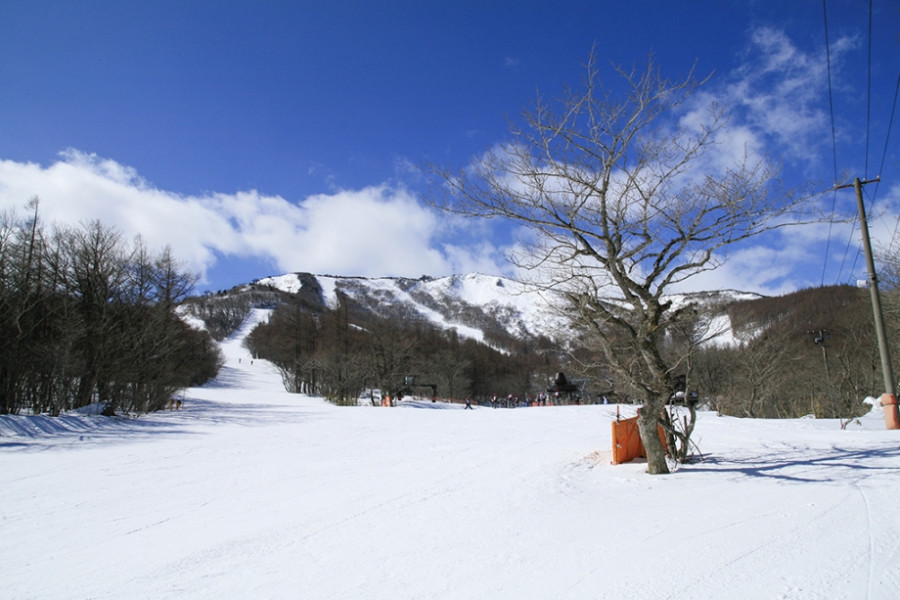 Adatara Kogen Ski Resort