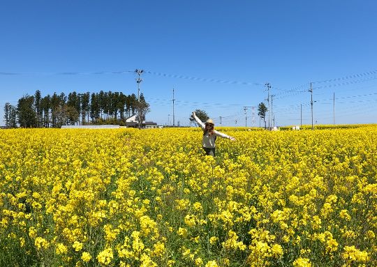 5 Dazzling Flower Parks to Visit During Golden Week in Fukushima